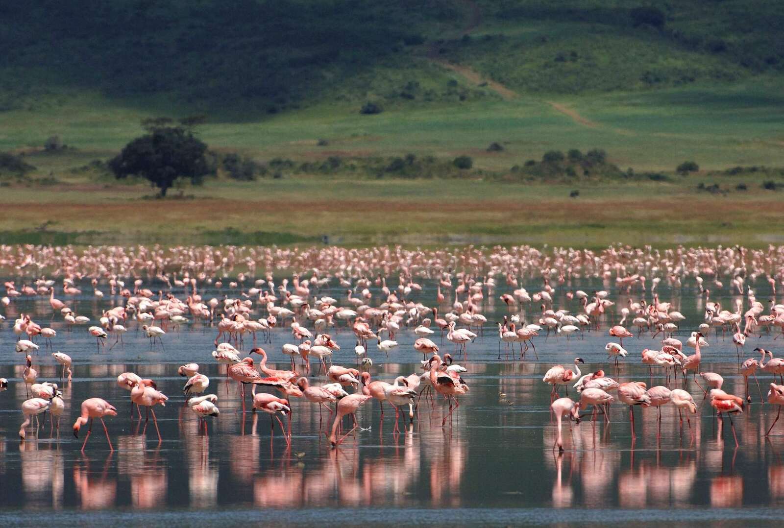 Lake Manyara